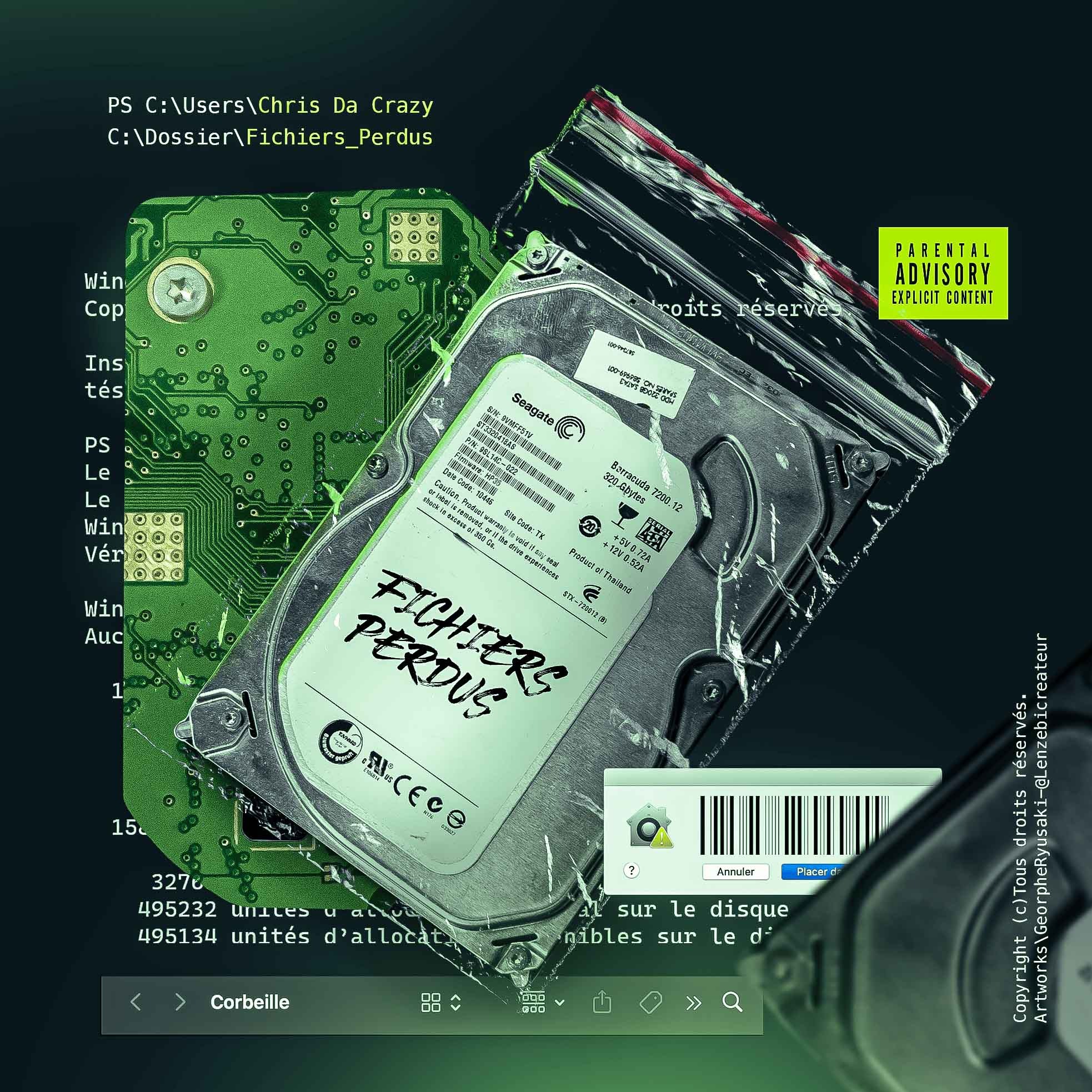 Cover Fichiers perdus