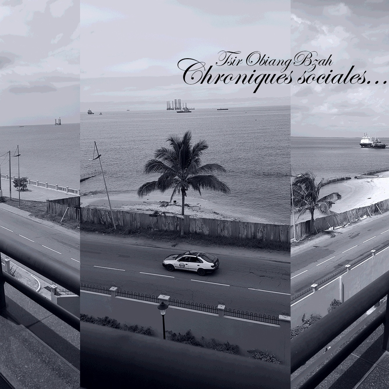 Cover Chroniques sociales