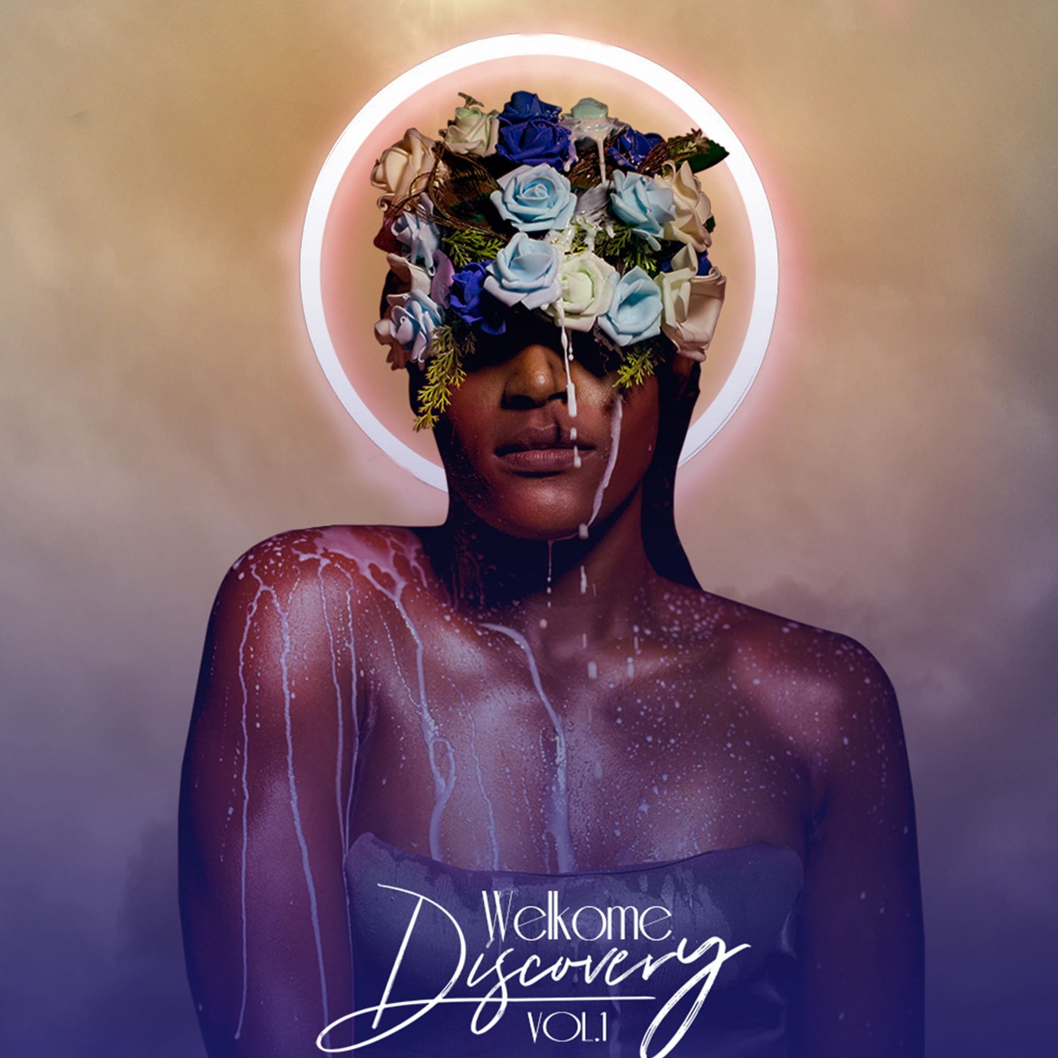 Cover Discovery Vol1