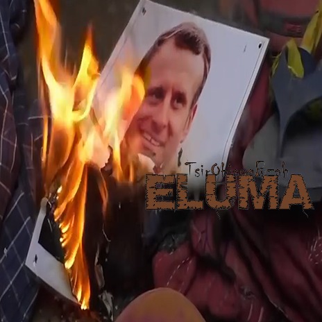 Cover Eluma