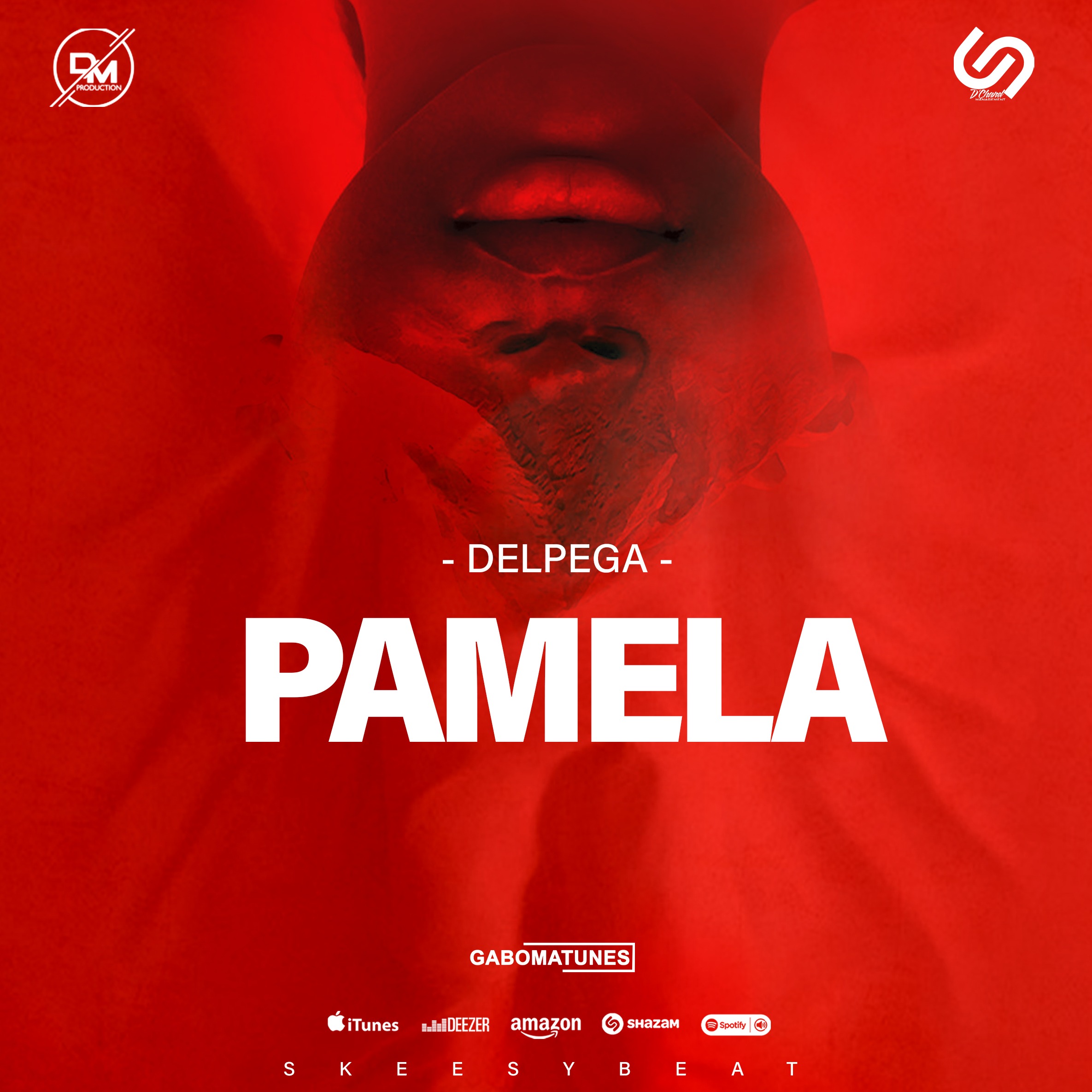 Cover Paméla 