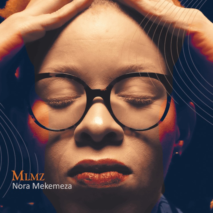 Cover MLMZ