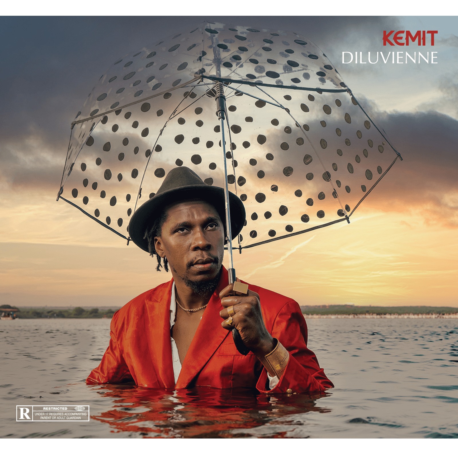 Cover Diluvienne 