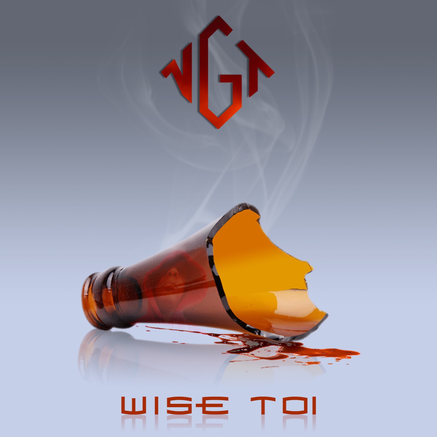 Cover Wise toi