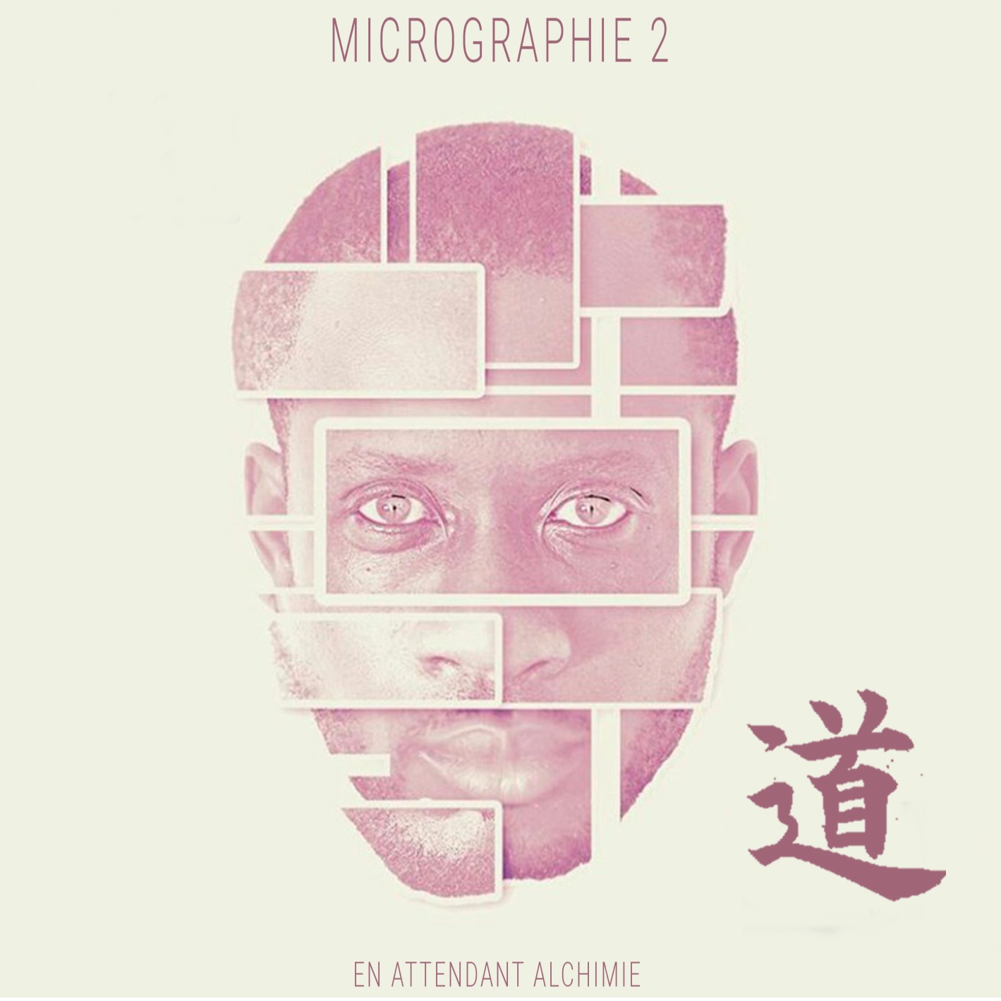 Cover Micrographie 2
